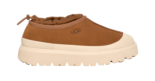 Hybride Tasman Weather pour homme