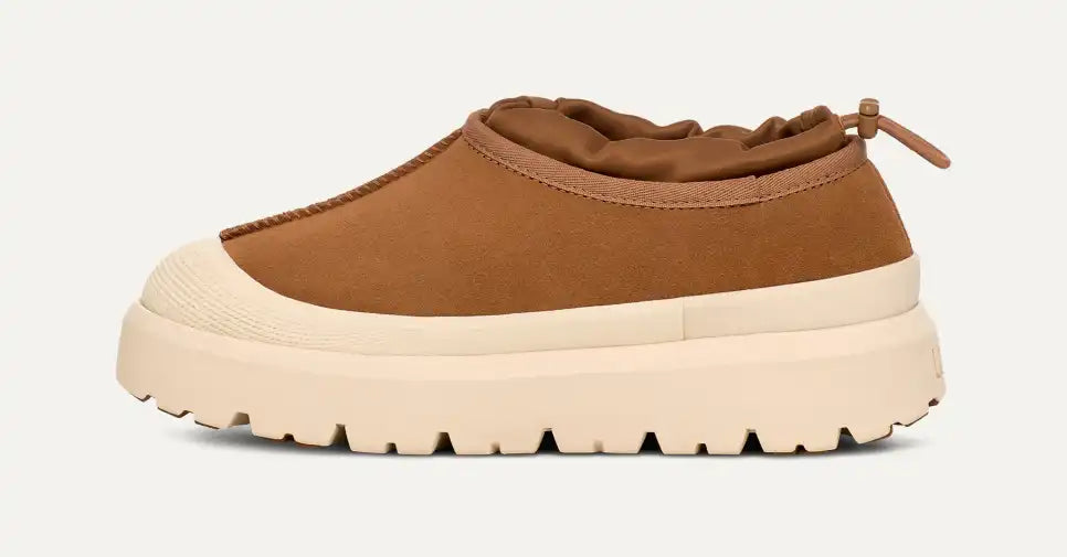 Hybride Tasman Weather pour homme