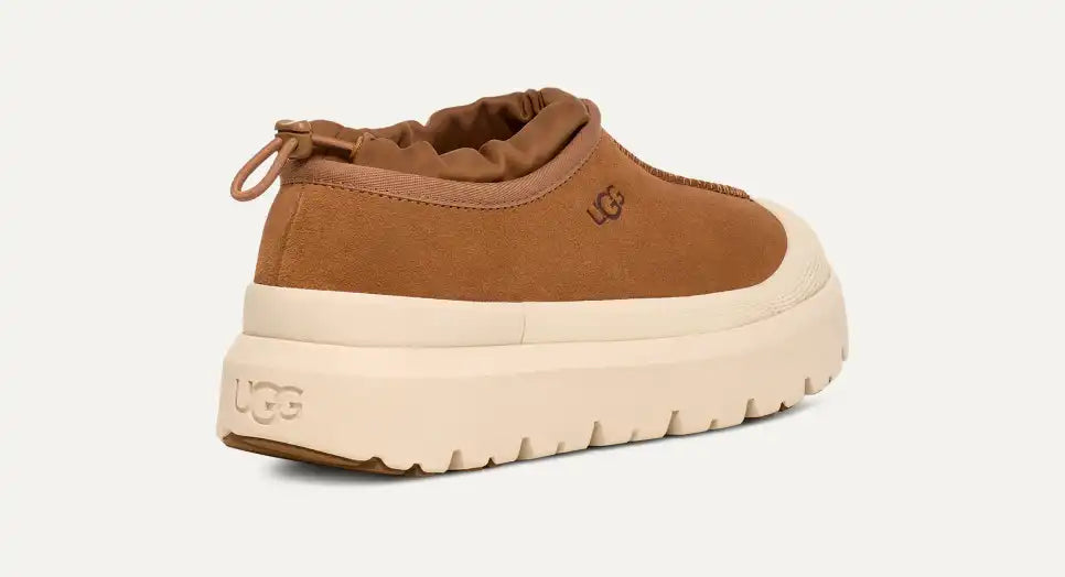 Hybride Tasman Weather pour homme